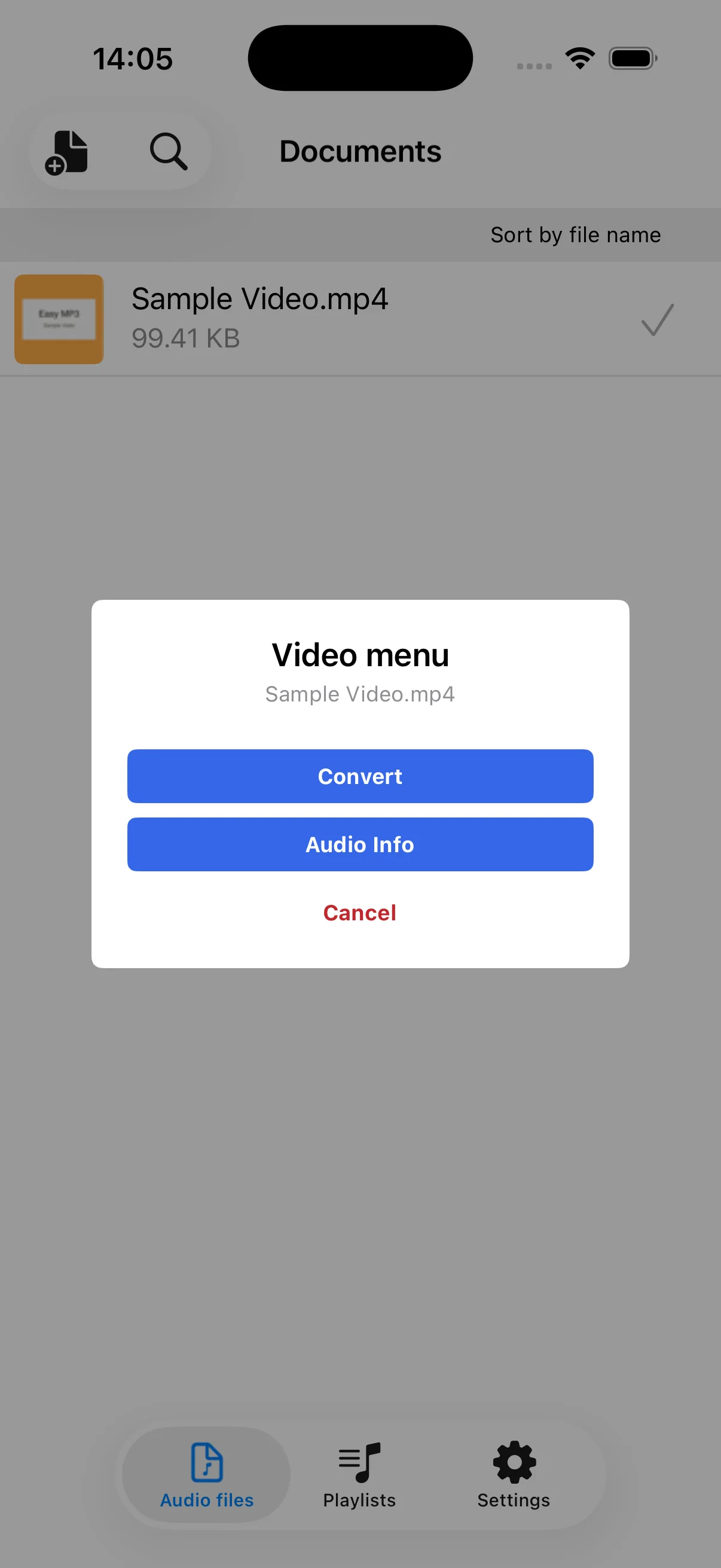 Video file menu